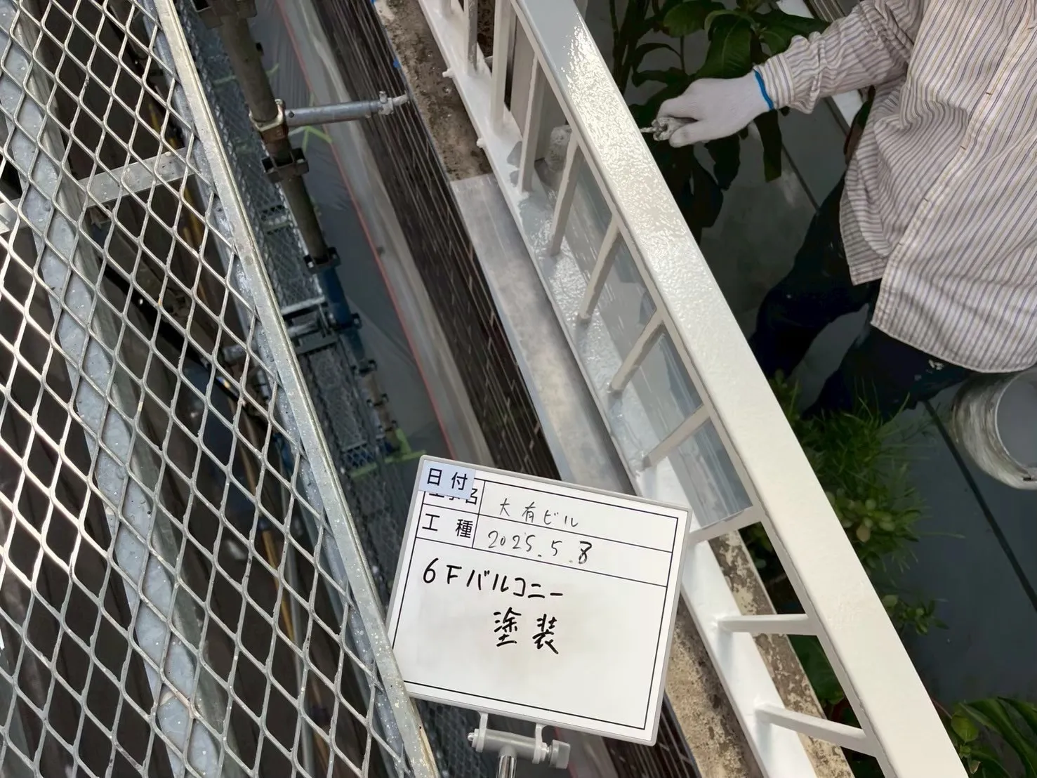 6Fバルコニー　塗装