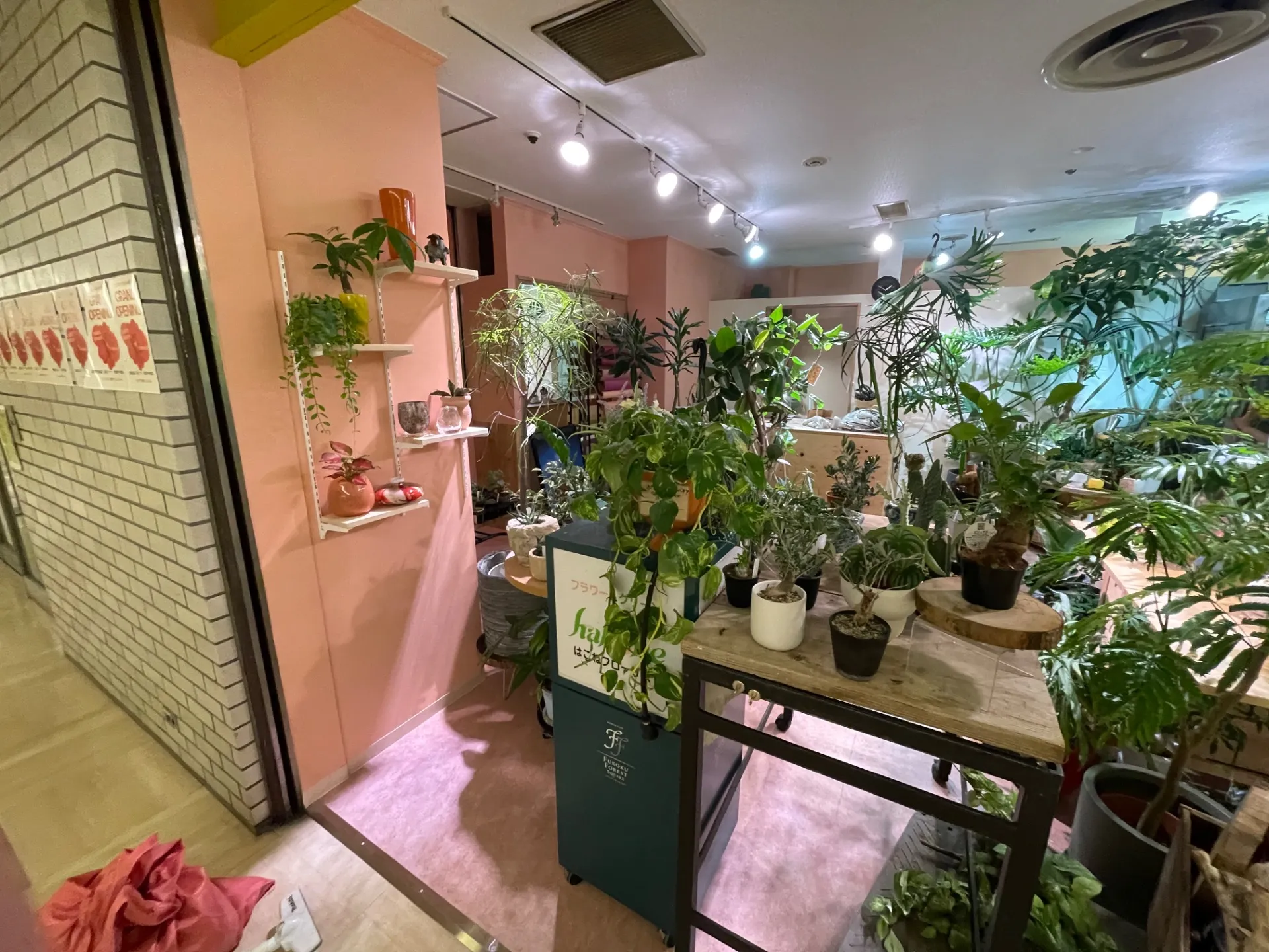 『2025年8月　東京都内　フコク生命ビル内店舗改修工事』