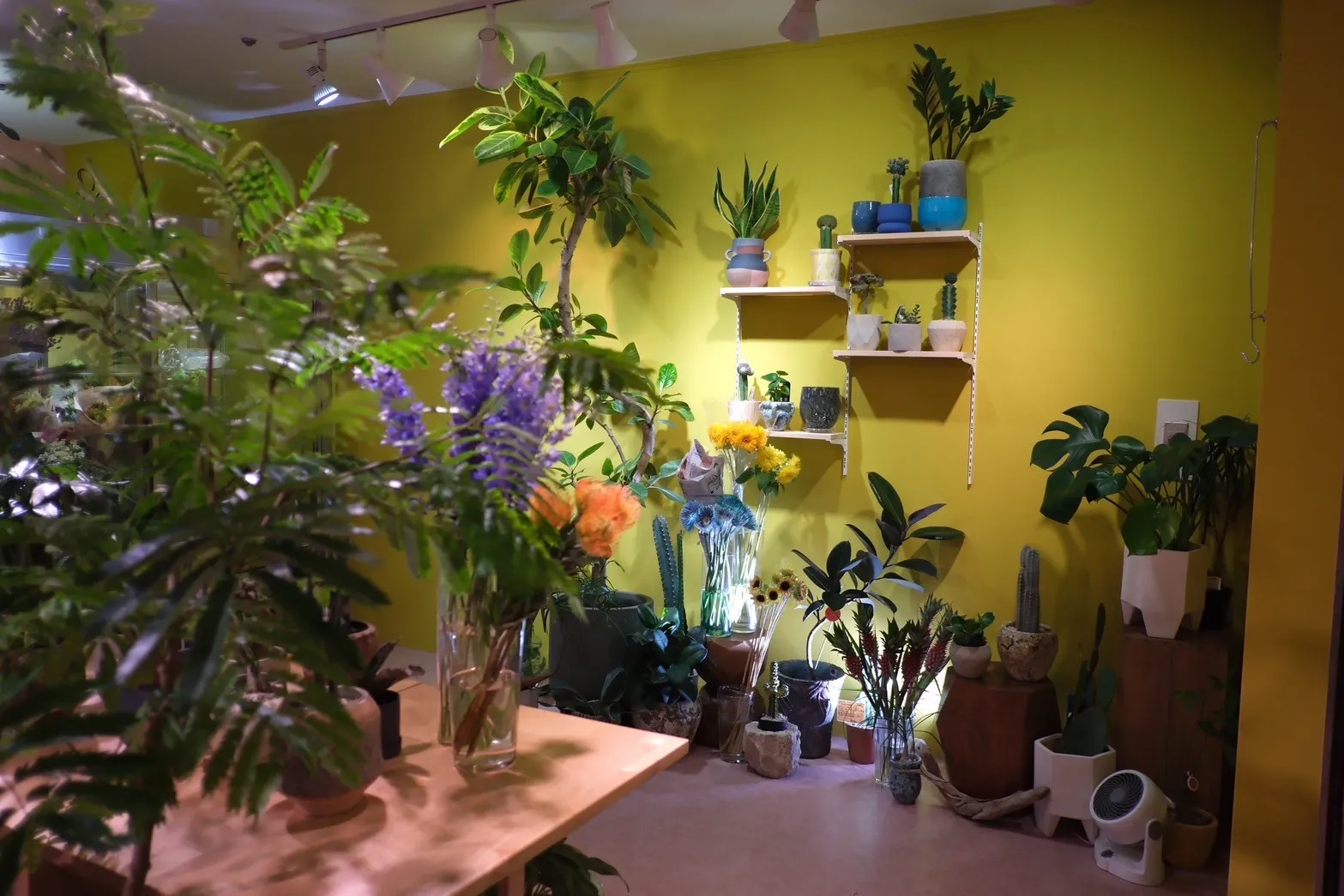 『2025年8月　東京都内　フコク生命ビル内店舗改修工事』