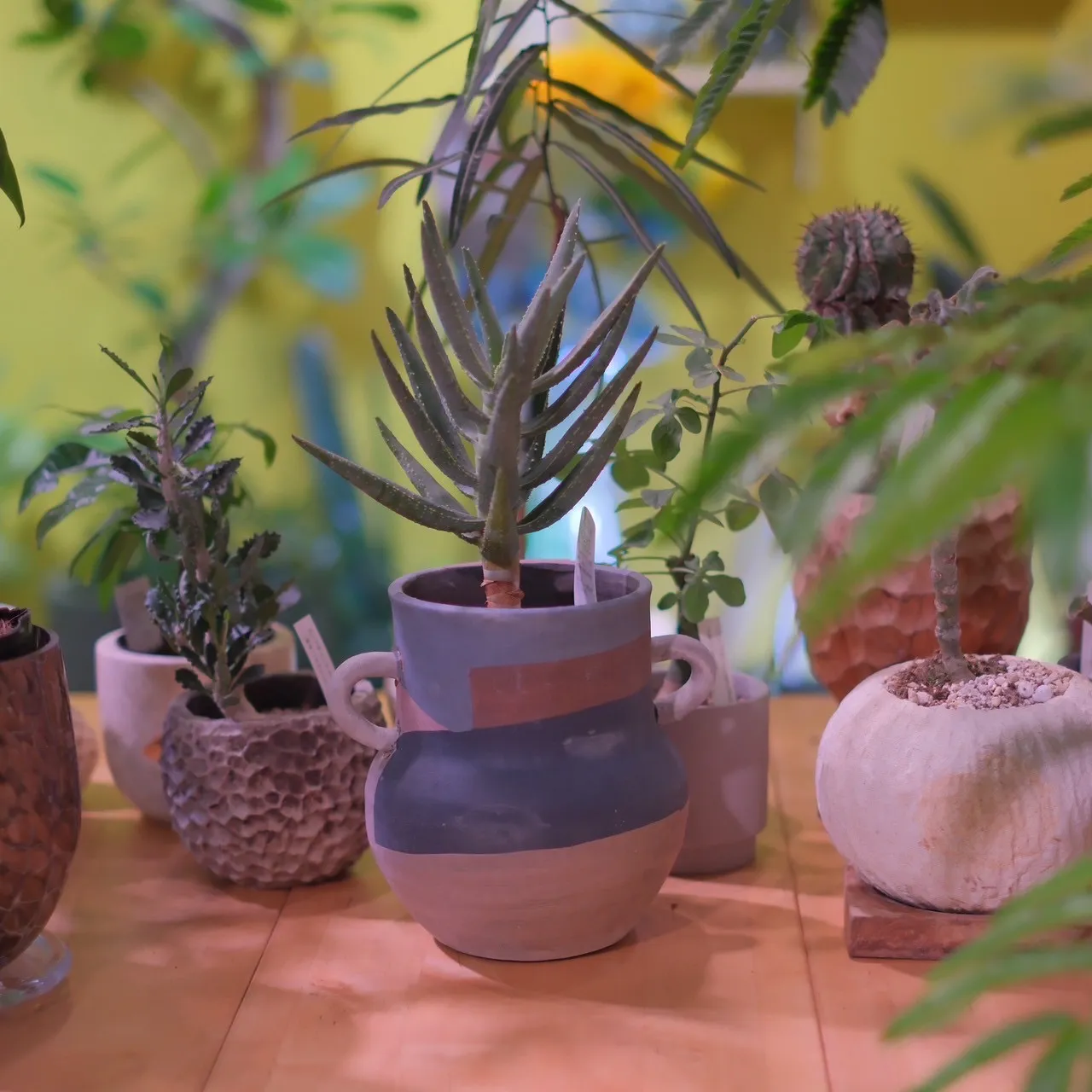 『2025年8月　東京都内　フコク生命ビル内店舗改修工事』